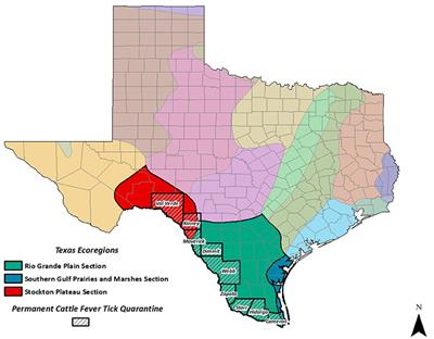 Effects of Drought and Media-Reported Violence on Cattle Fever Tick Incursions